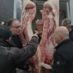 Slachtdag bij de Peddemorsboerderij