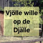 Vjölle wille op de Djälle 2025