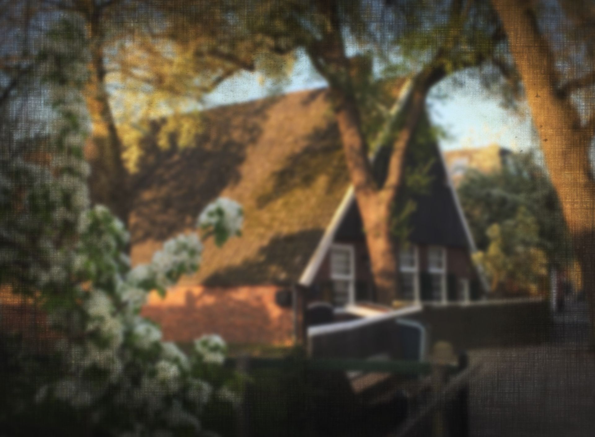 Homepage Peddemorsboerderij